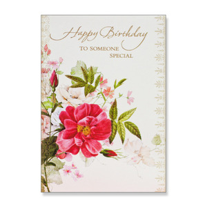 Hallmark Birthday Card HAB7058